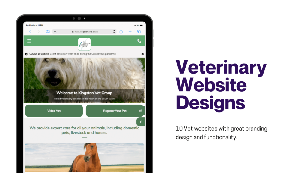 Vet website design