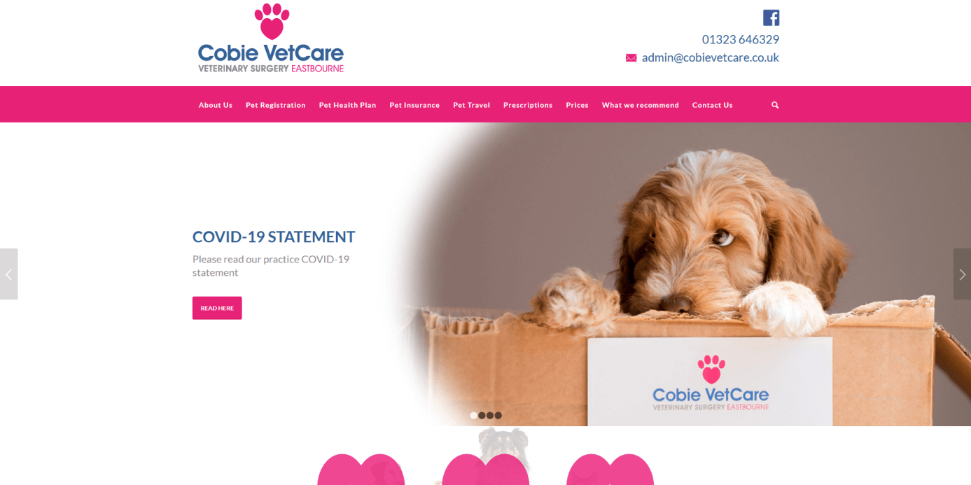 Corbie veterinary care